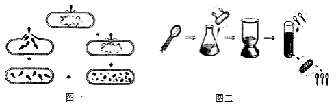 1563775423123960.png image.png