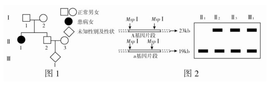 1563846939849912.png image.png