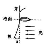 1563948168754494.png image.png