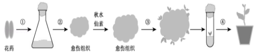 1528881354335223.png image.png