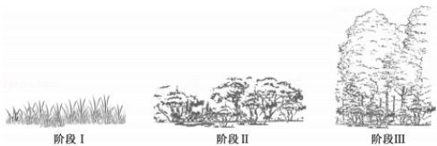 1528881711625589.png image.png