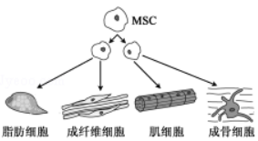 1528935893133318.png image.png