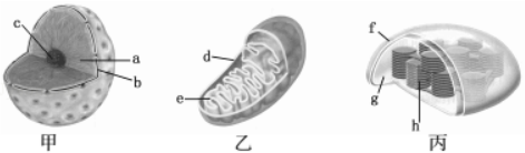 1528936442974911.png image.png