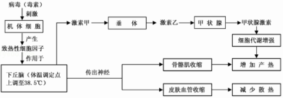1528938268847531.png image.png