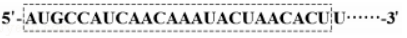 1528938807750930.png image.png