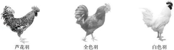 1528939091115429.png image.png