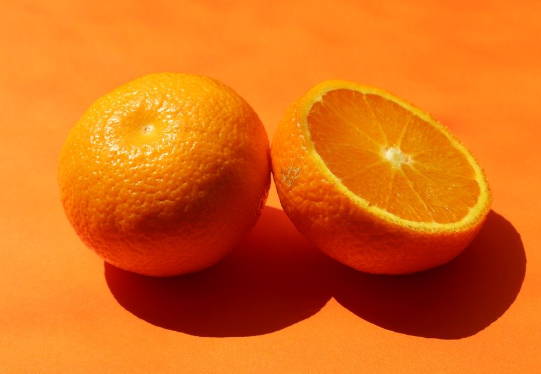 橙子种植需要什么条件 