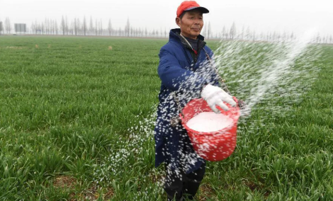 水稻种植面积4.5亿亩，农药市场四大机遇你知道么？