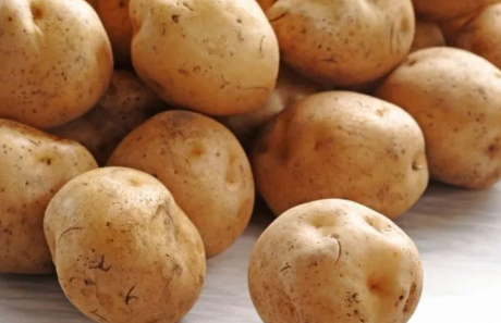 农民种植土豆，掌握种植技巧优质高产
