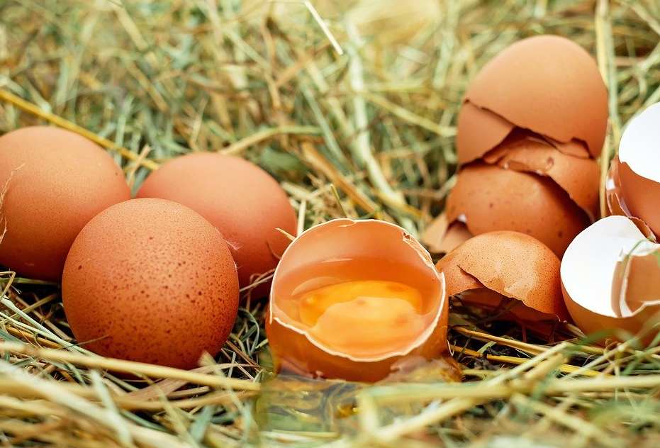 蛋鸡产蛋高峰期一般是多久？如何延长？