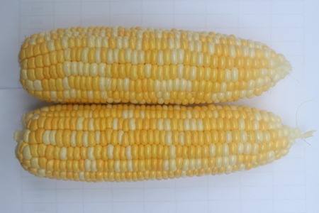 1637723941386726.jpg